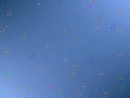 background tile